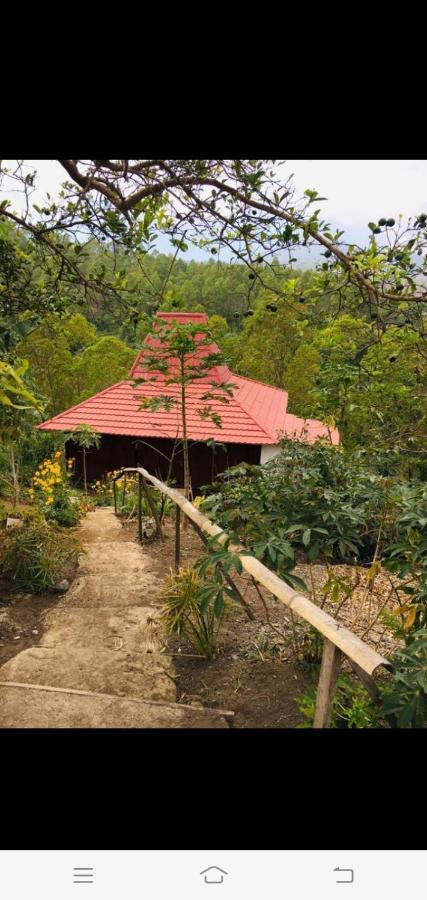 Home Stay Wolokoro Ecotourism Bajawa Exterior photo