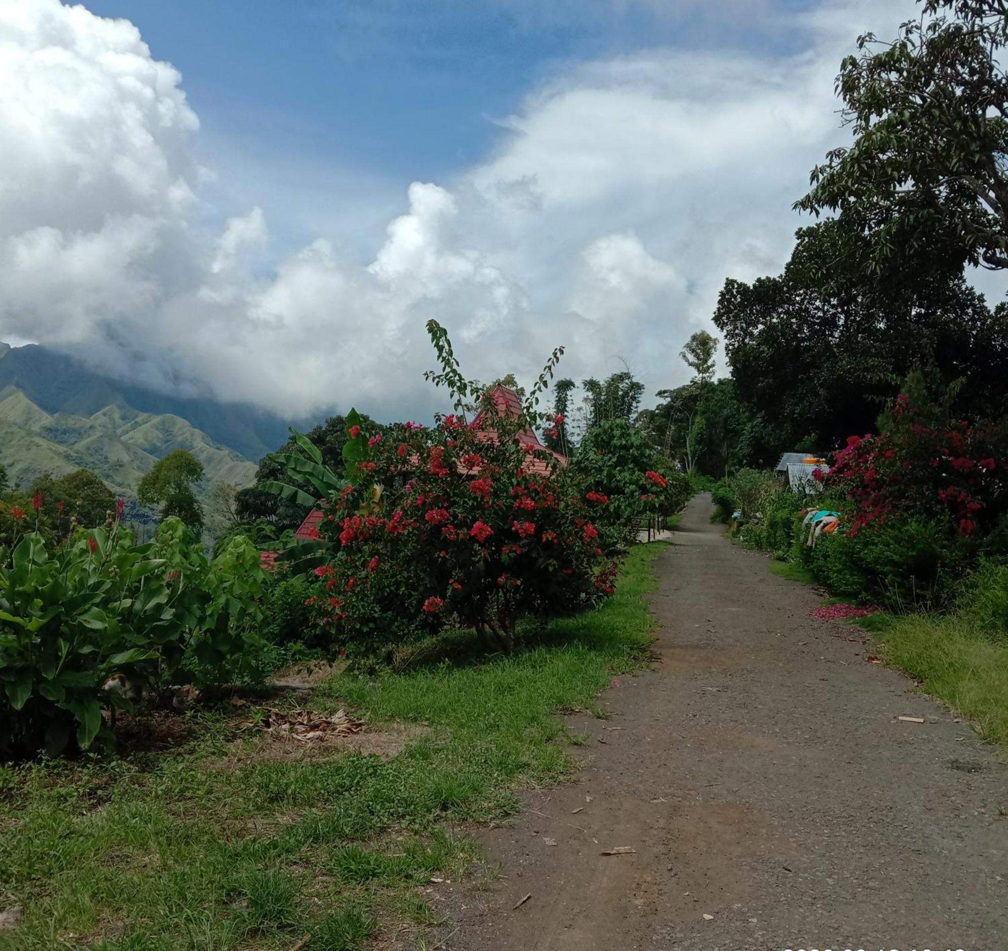 Home Stay Wolokoro Ecotourism Bajawa Room photo